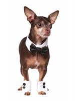 Pet Tuxedo Bowtie & Cuff Set Costume