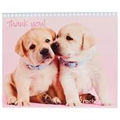 Rachaelhale Glamour Dogs Thank-You Notes 