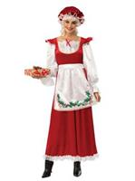 Ms. Santa Claus Costume