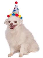 Pet Paw Print Birthday Hat Costume
