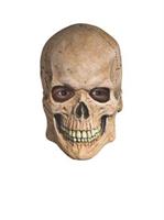 Crypt Skull Mask