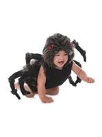 Child Talan the Tarantula Costume