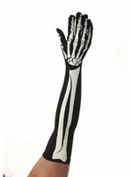 Skeleton 