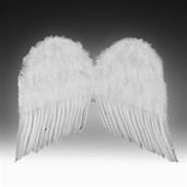 Feather Wings