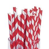 Red and White Striped Paper Straws