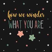 Twinkle Twinkle How We Wonder Lunch Napkins