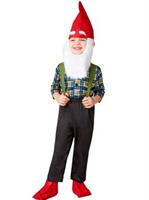 Gnome 