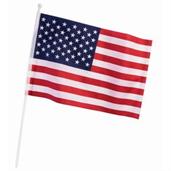 Patriotic Flag