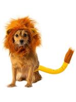 The Lion King 