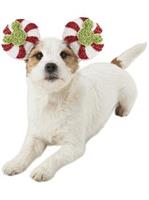 Mickey Mouse Candy Cane Pet Accessory 