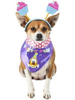 Mickey Mouse Party Pup Pet Accessory 