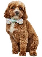 Party Collar Bow-Ne Pet Accessory 