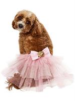 Birthday Fairy Tutu Pet Accessory 