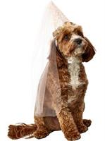 Birthday Fairy Cone Hat Pet Accessory 