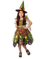 Light Up Fairy Witch Child Costume