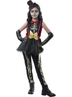 Circus Costumes