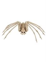 20.5 Inch Skeleton Spider