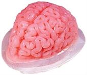 9-inch Brain Shaped Plastic Gelatin Mold