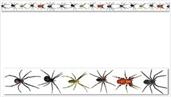 Spiders Party Tape
