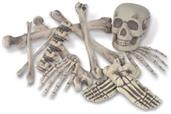 Bag 'O Bones