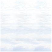 Snowscape Backdrop