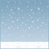Winter Sky Backdrop