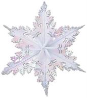 Metallic Winter Snowflake