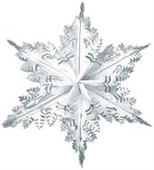 Metallic Winter Snowflake