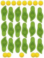 Leprechaun Footprints & Coins PNP