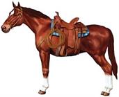 Jointed Horse