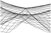 Fish Netting