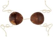 Coconut Bikini Top