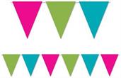 Cerise,Lime Green &Turquoise Pennant Bnr