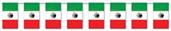 Mexican Flag Pennant Banner