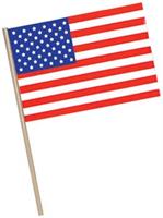 American Flag - Plastic