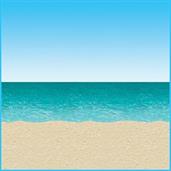 Ocean & Beach Backdrop