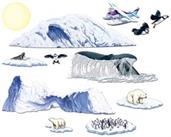 Arctic Cruise Props