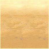 Desert Sand Backdrop