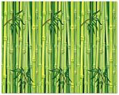 Bamboo Backdrop