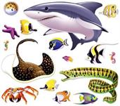Marine Life Props