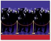 Paparazzi Backdrop