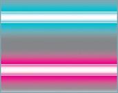 Neon Border