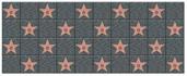 "Star" Backdrop