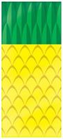 Pineapple Cello Bags