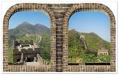 Asian Insta-View