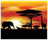 Safari Insta-Mural