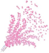 Gender Reveal Push Up Confetti Poppers