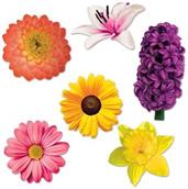 Flower Cutouts