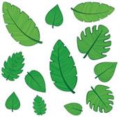 Tropical Leaf Cutouts