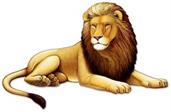 Jointed Lion